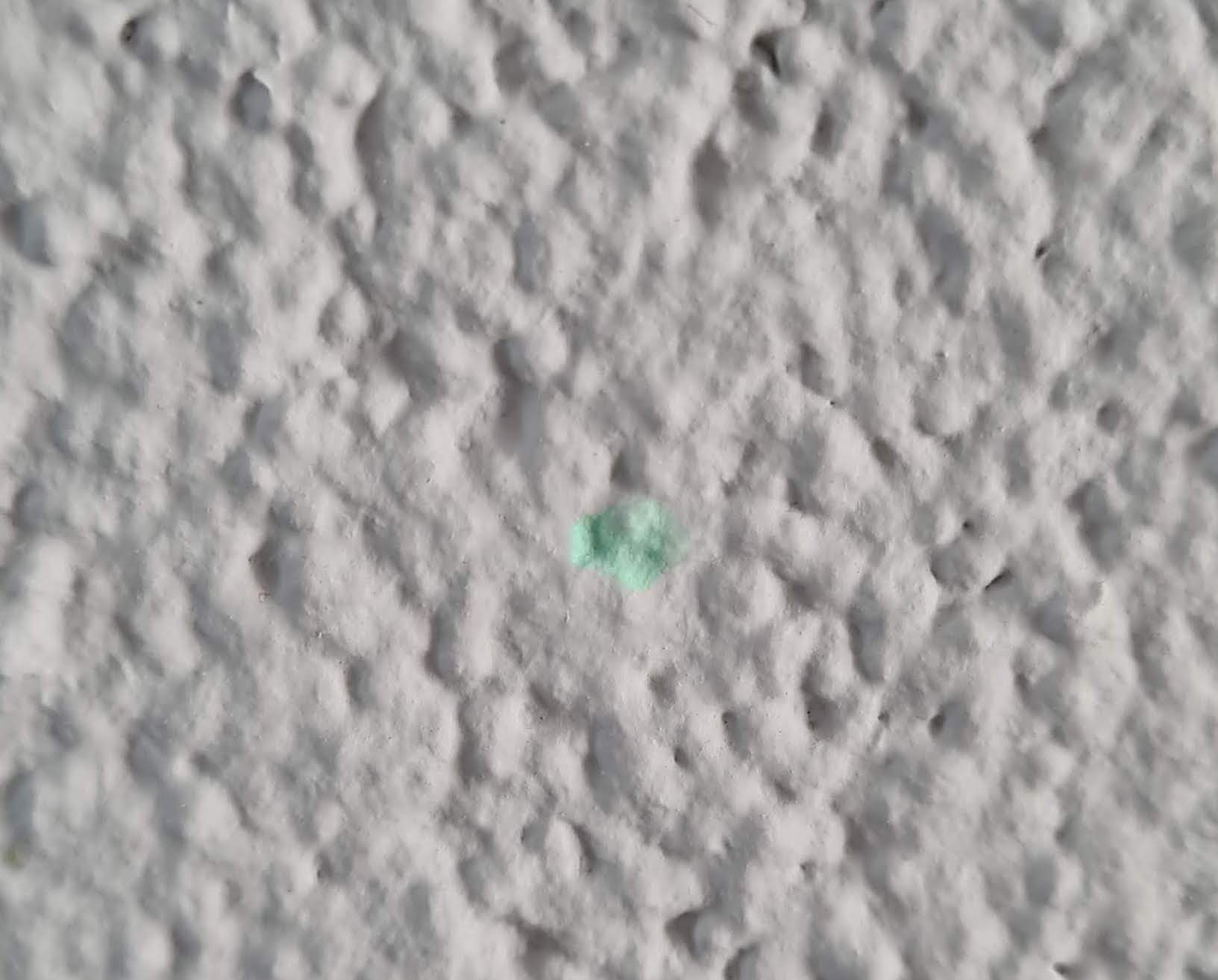 concrete What are the green spots on our kitchen walls Home