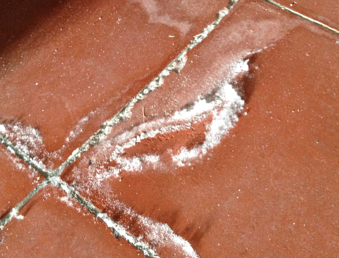 everyday chemistry What are these fluffy white crystals growing out