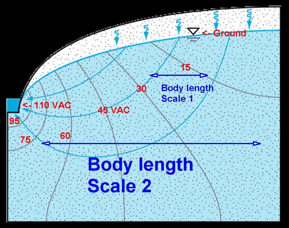 safety Electrocution in rubber swimming pool? Electrical
