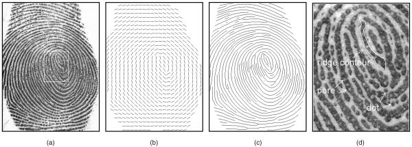 visualise Orientation map with opencv or matlab Stack Overflow