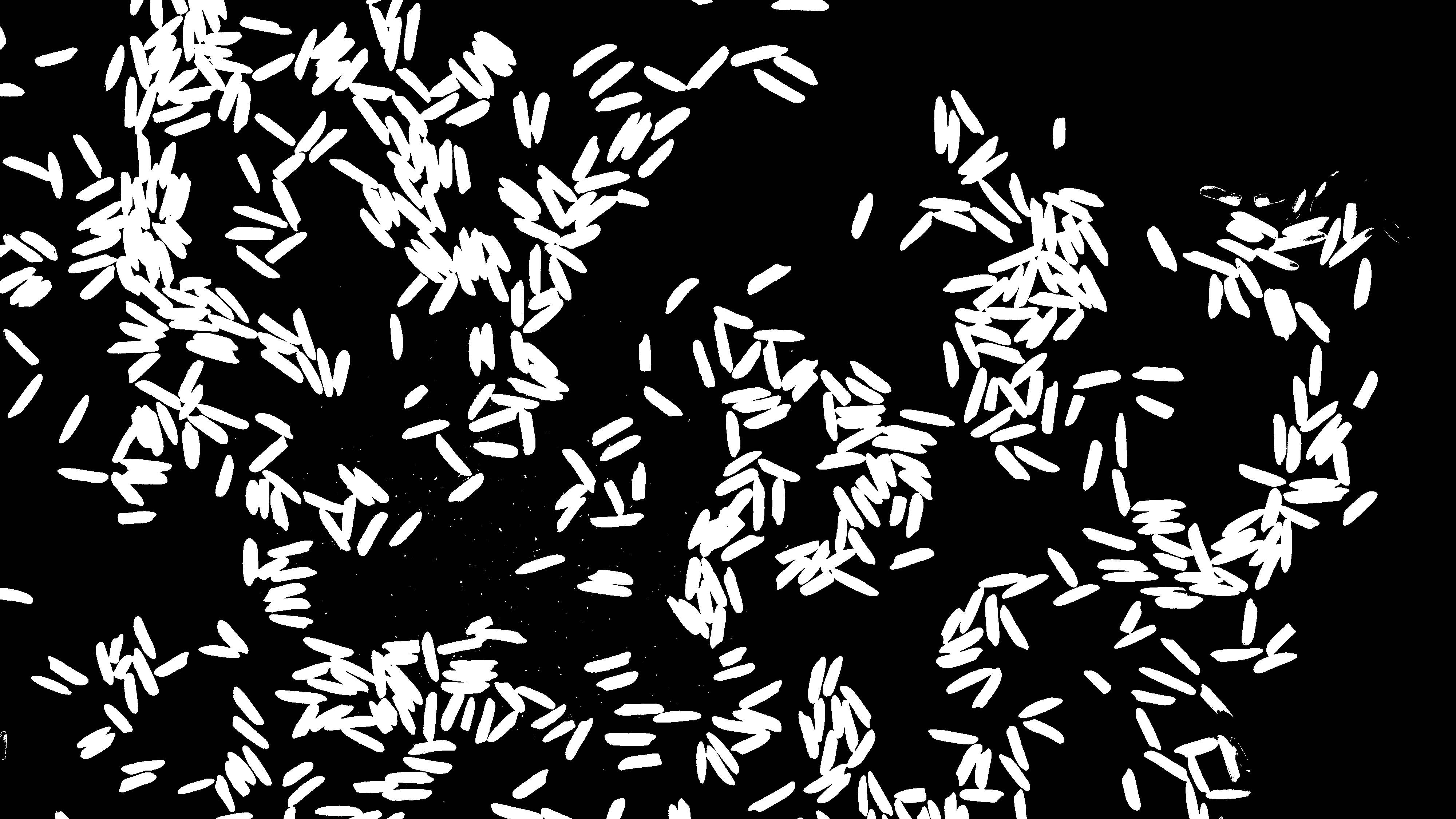 python Fill holes holes/area in a binary image using OpenCV Stack