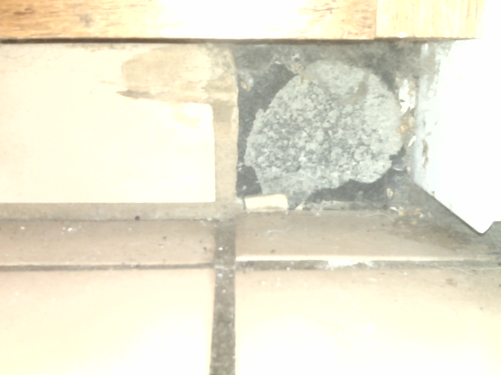 How to repair fallen tile near kitchen floor? Home Improvement Stack