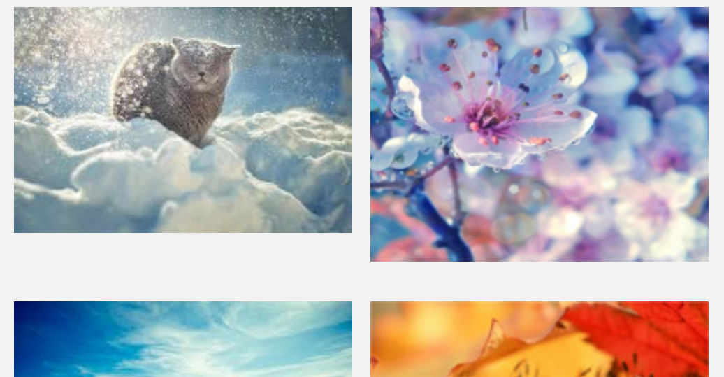 html Make two column responsive images of same size Stack Overflow
