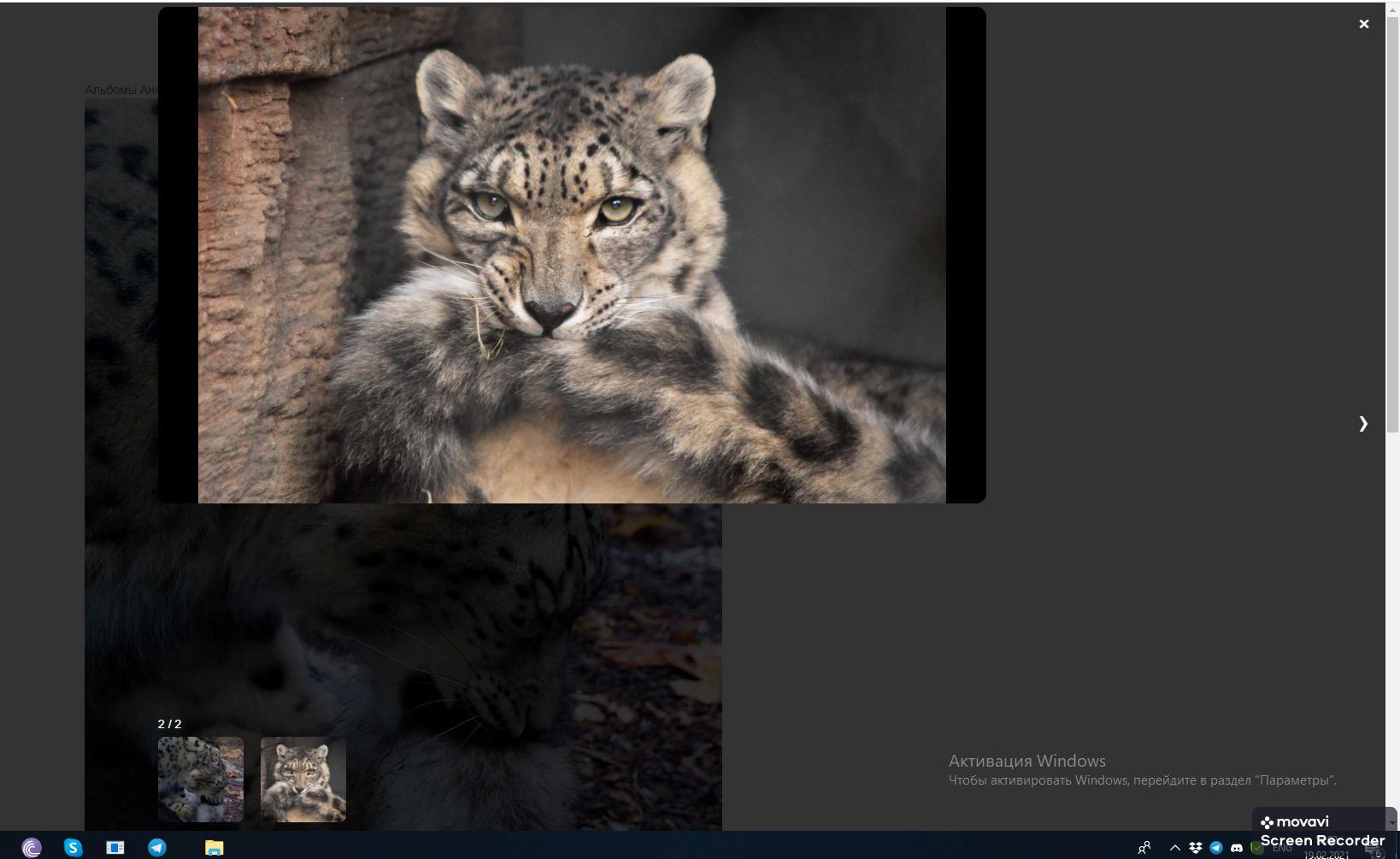 laravel Positioning Vue Gallery Slideshow in the center of the screen