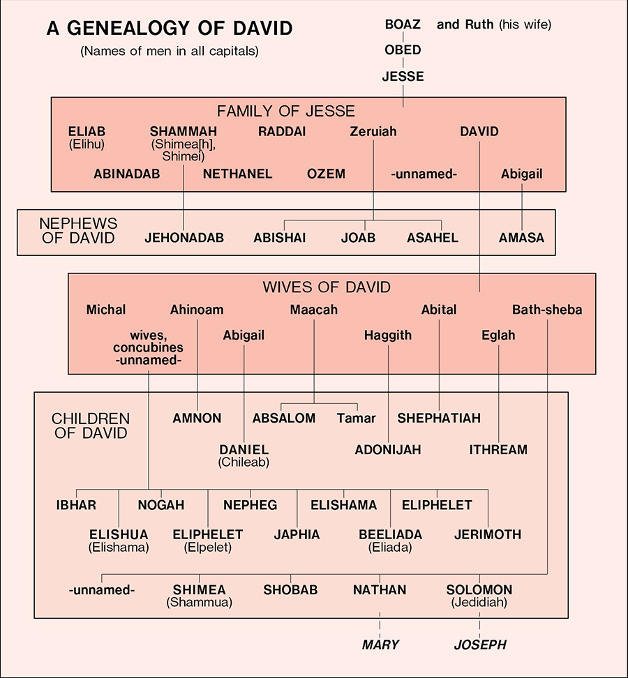 hebrew How is Joab related to Amasa? Biblical Hermeneutics Stack Exchange