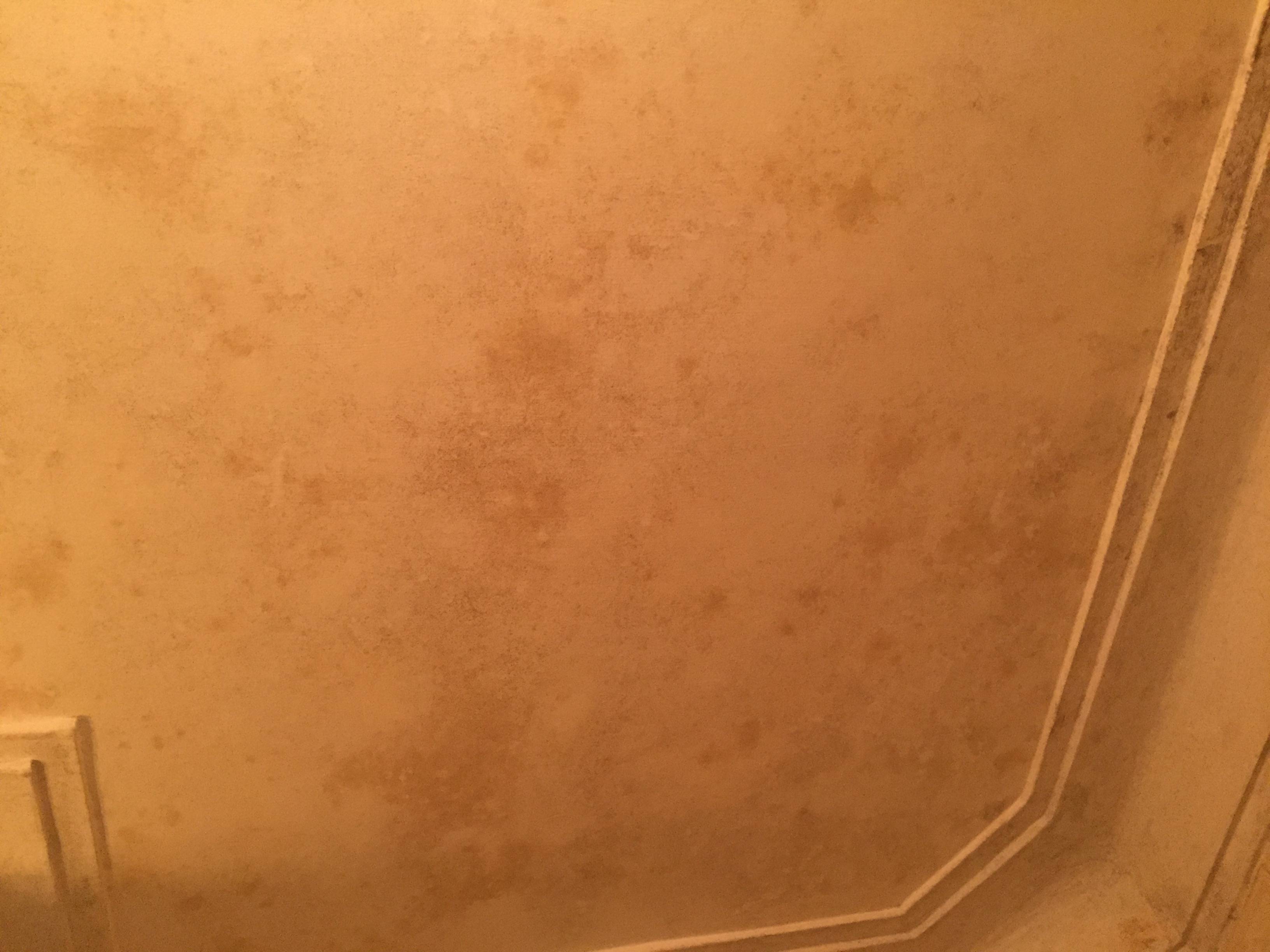 walls Is this mold in my bathroom? Home Improvement Stack Exchange