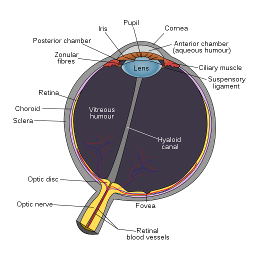 optics Eyes open under water Physics Stack Exchange