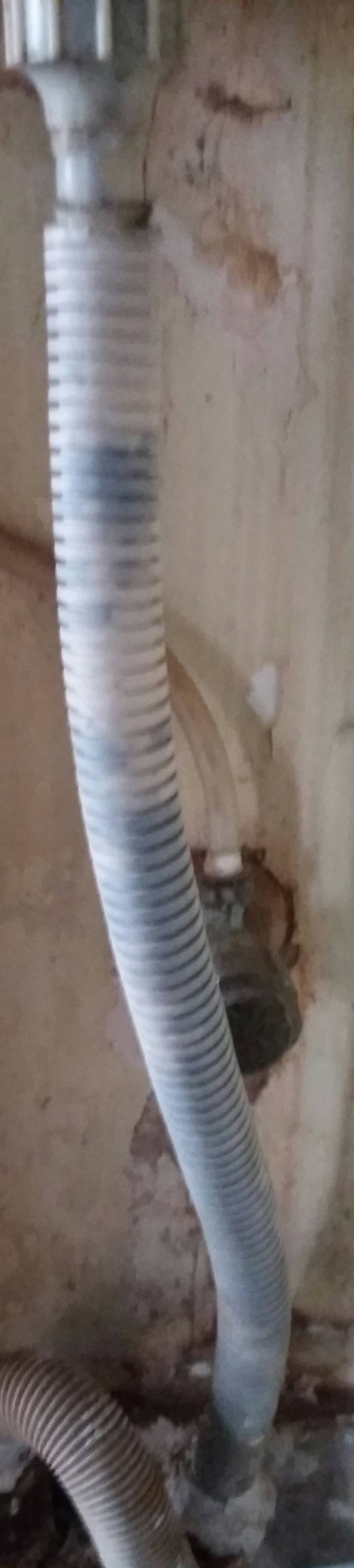 bathroom How to prevent algae formation in basin pipe? Home
