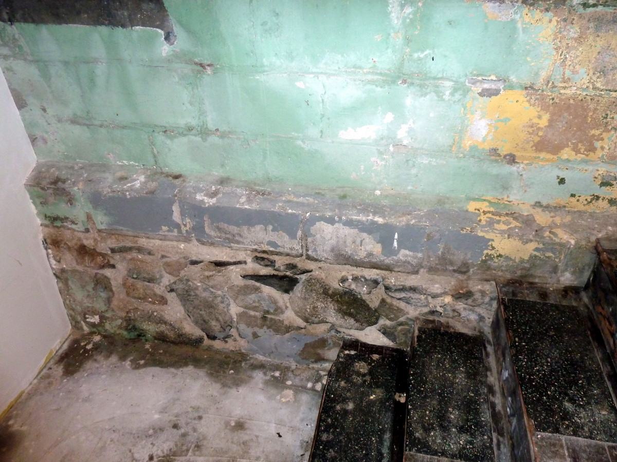 painting How should I encapsulate a basement wall with chipping paint