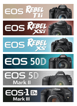 dslr - What are the major differences between these camera series by