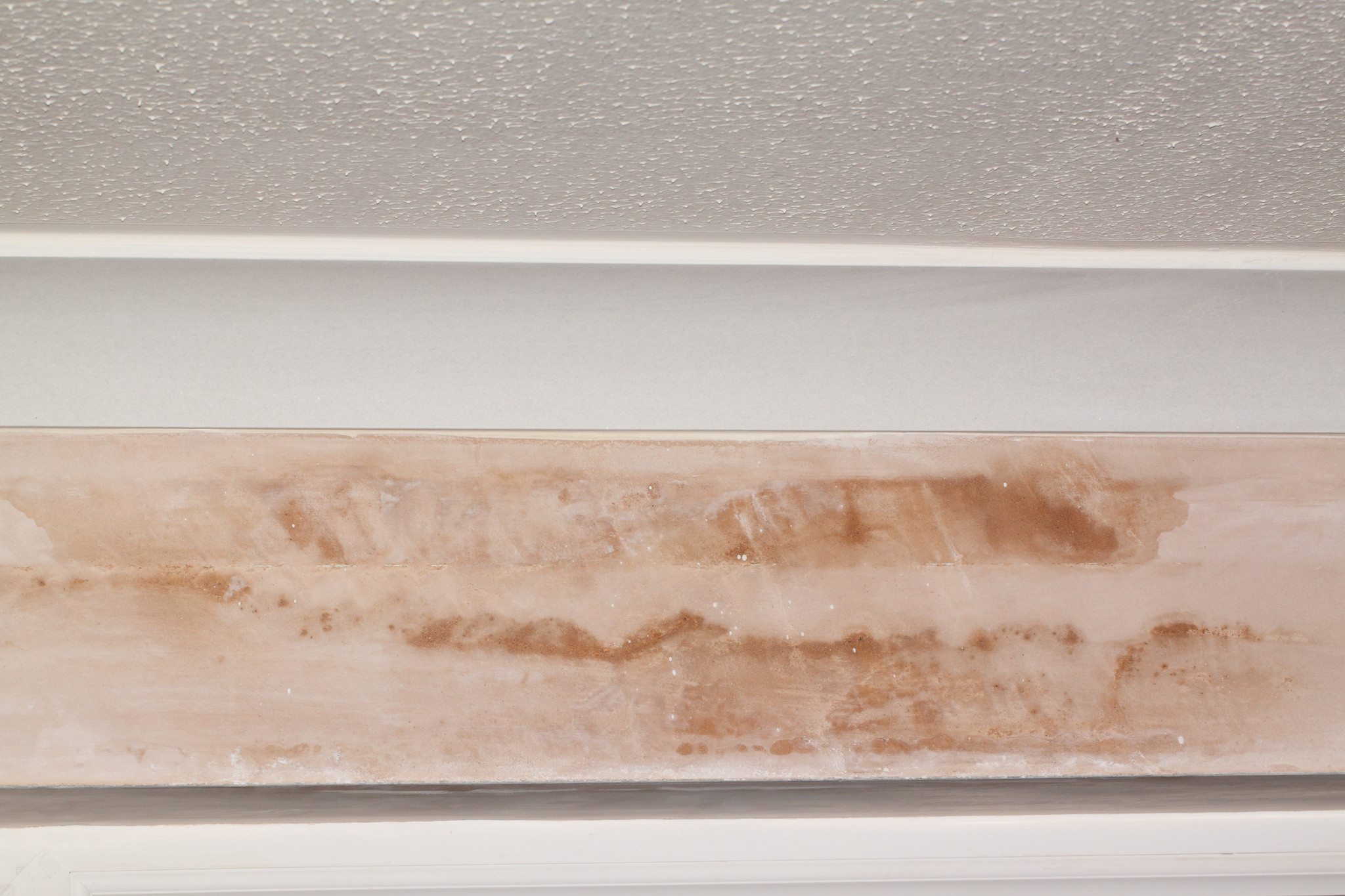 walls What should I do to make good on some lightly water damaged