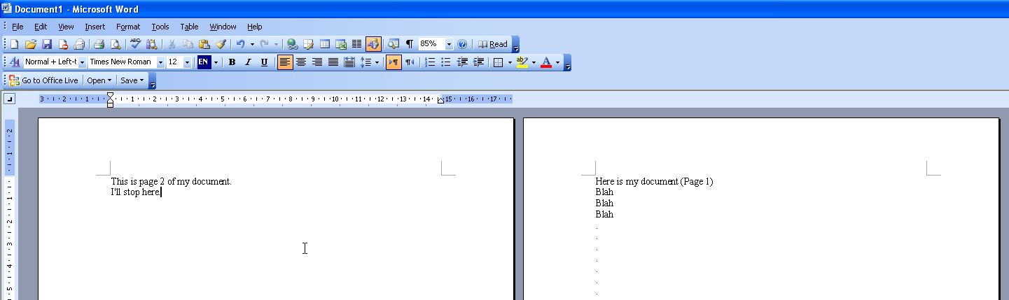 how to print in color on word document WPS Office