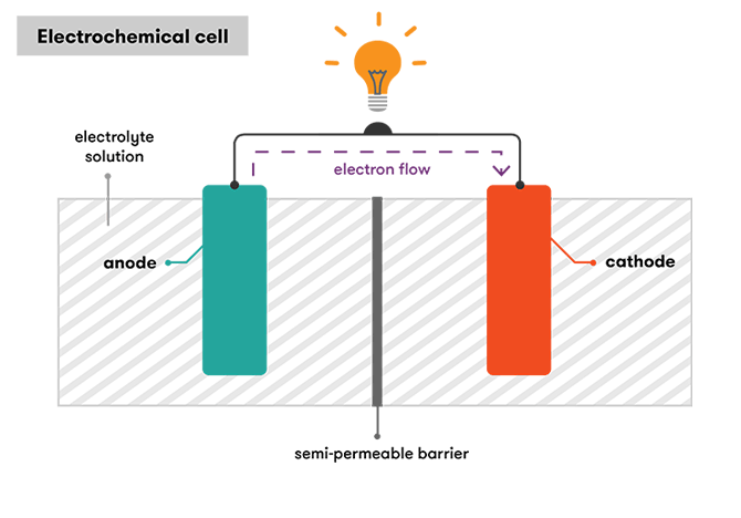 everyday life How does the electrochemical potential