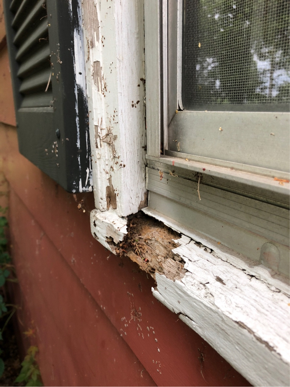 windows Replacing rotted brickmold and sill what’s the sill piece