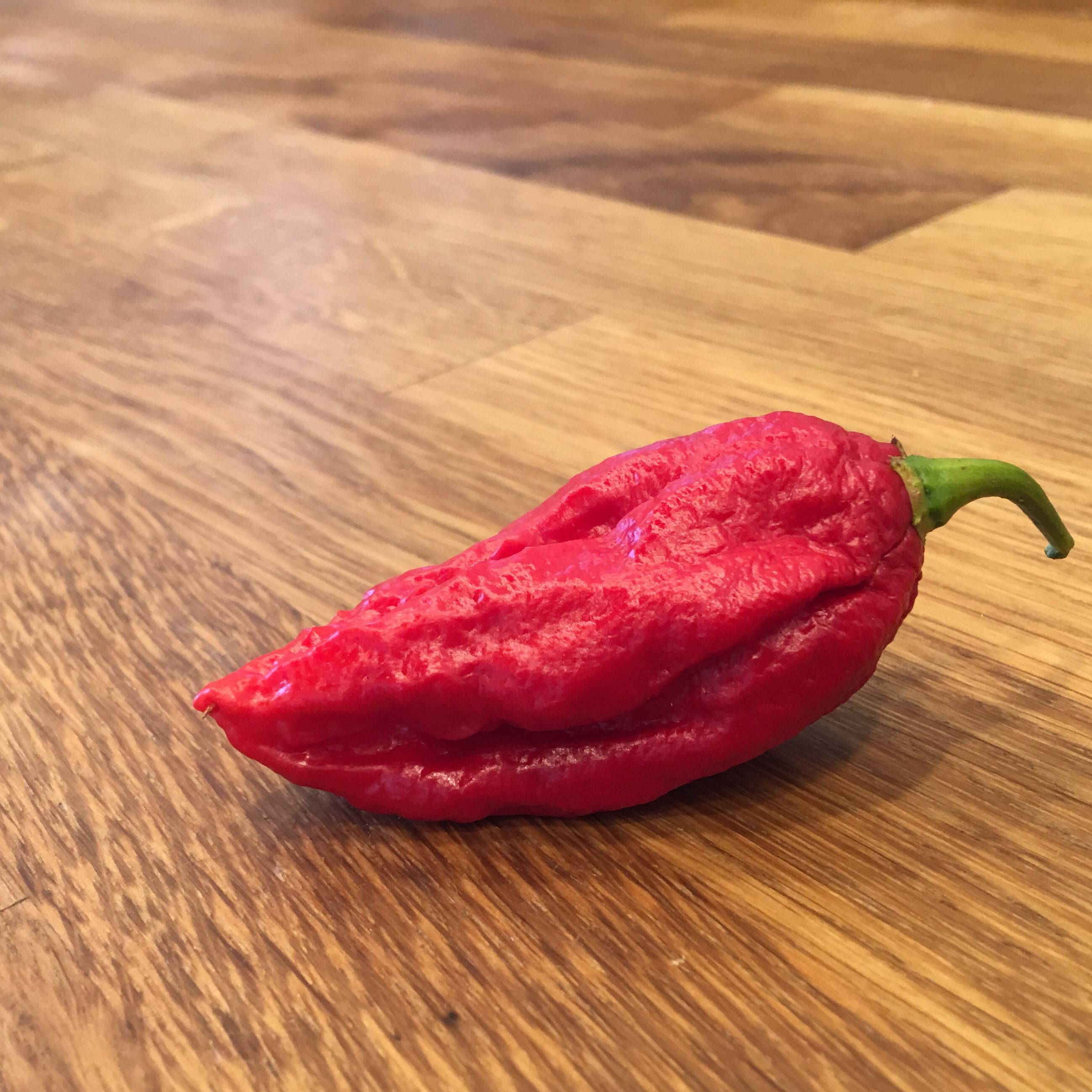 identification What is this bright red wrinkled pepper? Gardening