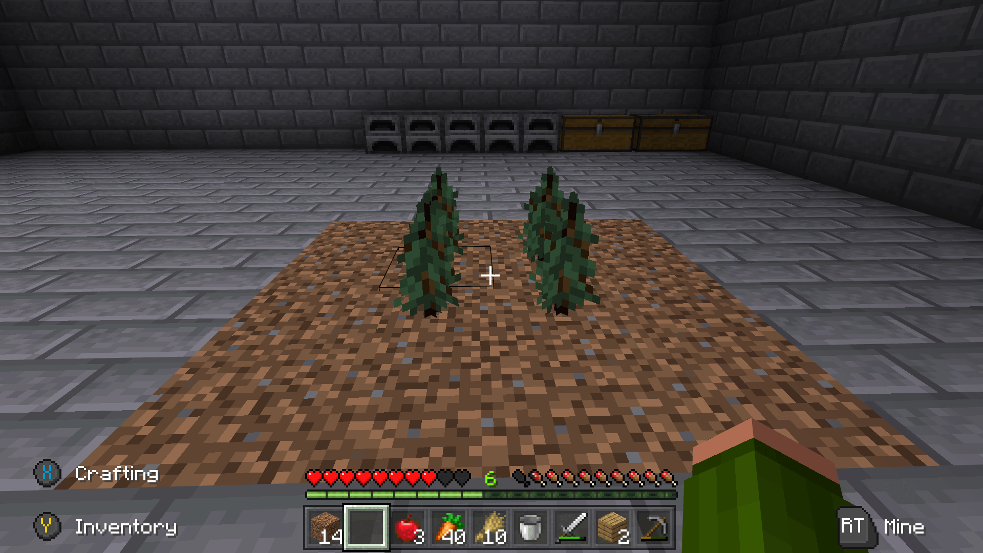 Dark Oak trees are not growing indoors in minecraft Arqade