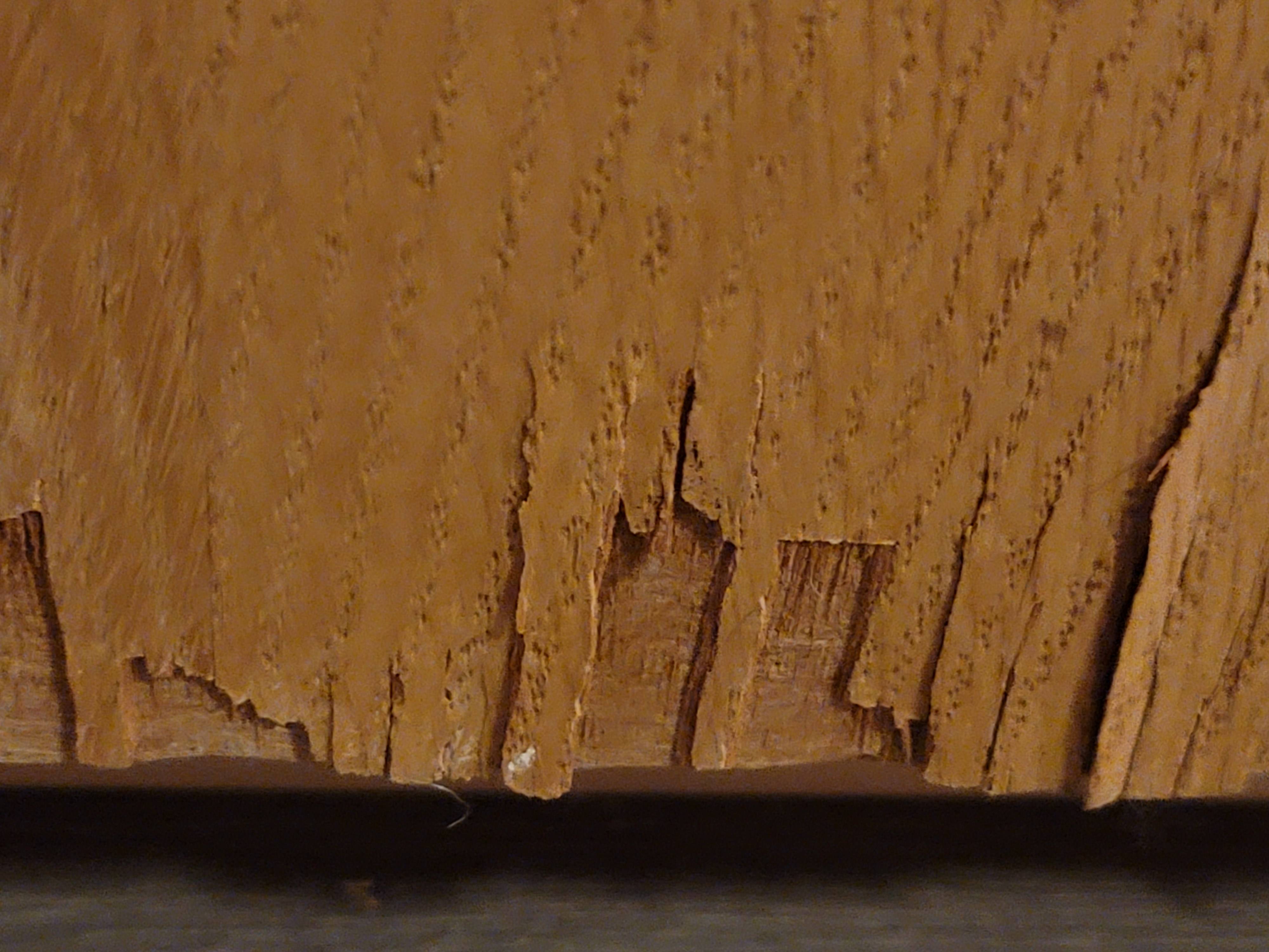 wood Repair Side of from Cat Scratches Home Improvement Stack Exchange
