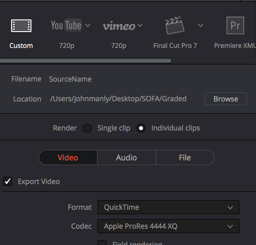 Einladen Widerruf Kugel export mp4 davinci resolve Inkonsistent