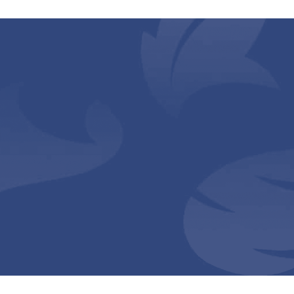 vue.js Quasar Icon Genie CLI crops icons from square to rectangle