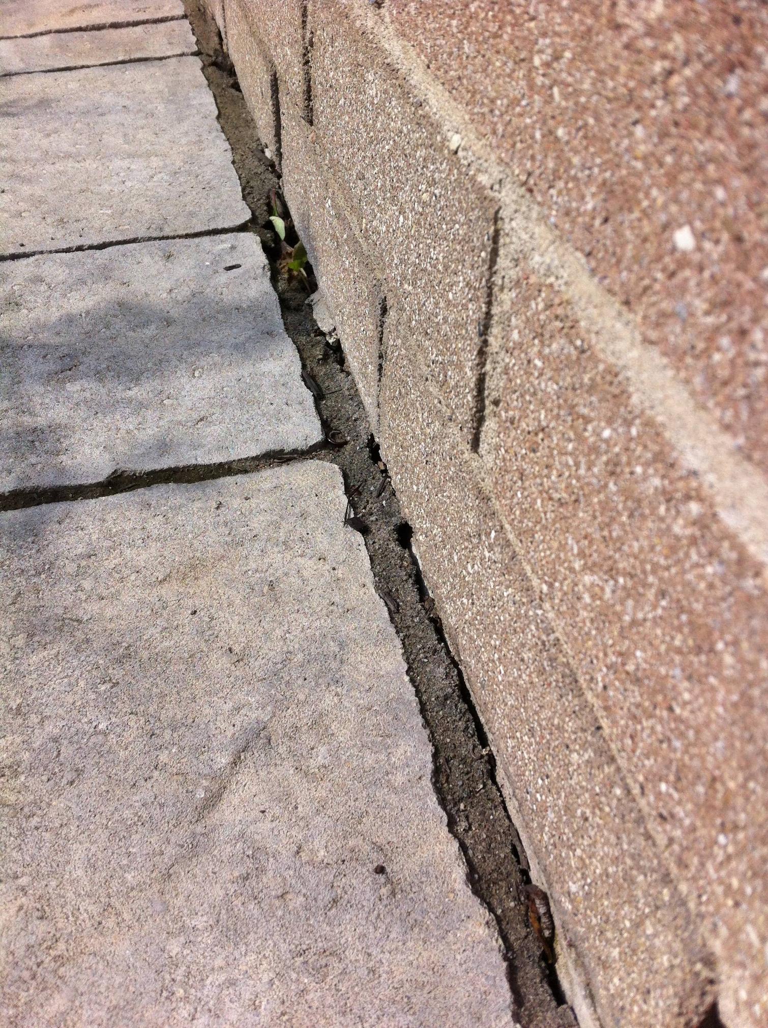 What is sealing the edges of this footpath? Home Improvement Stack