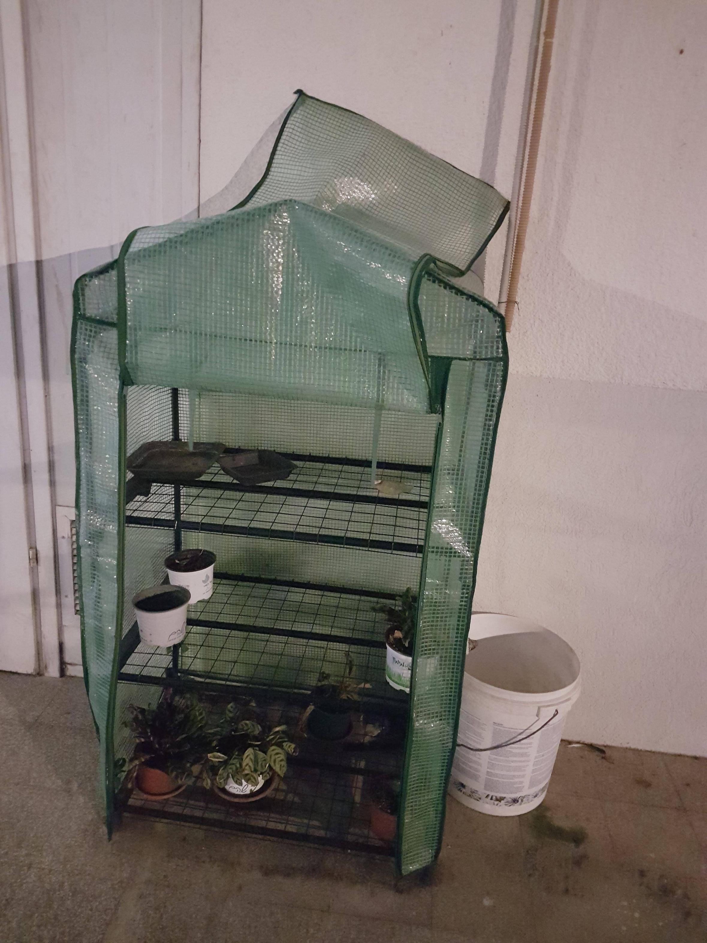 How to build a robust evaporative cooler for my mini greenhouse