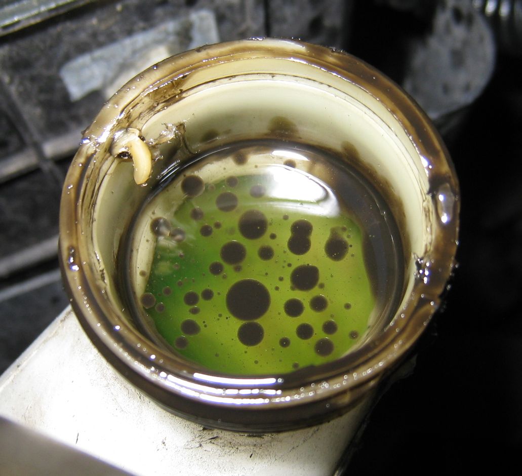 honda Oil in coolant recovery tank, how urgent is it? Motor Vehicle