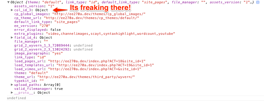Can't access object property, even though it exists. Returns undefined