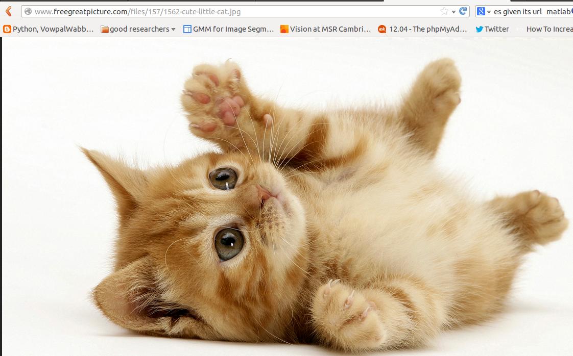 How to save an image using its URL in Matlab Stack Overflow