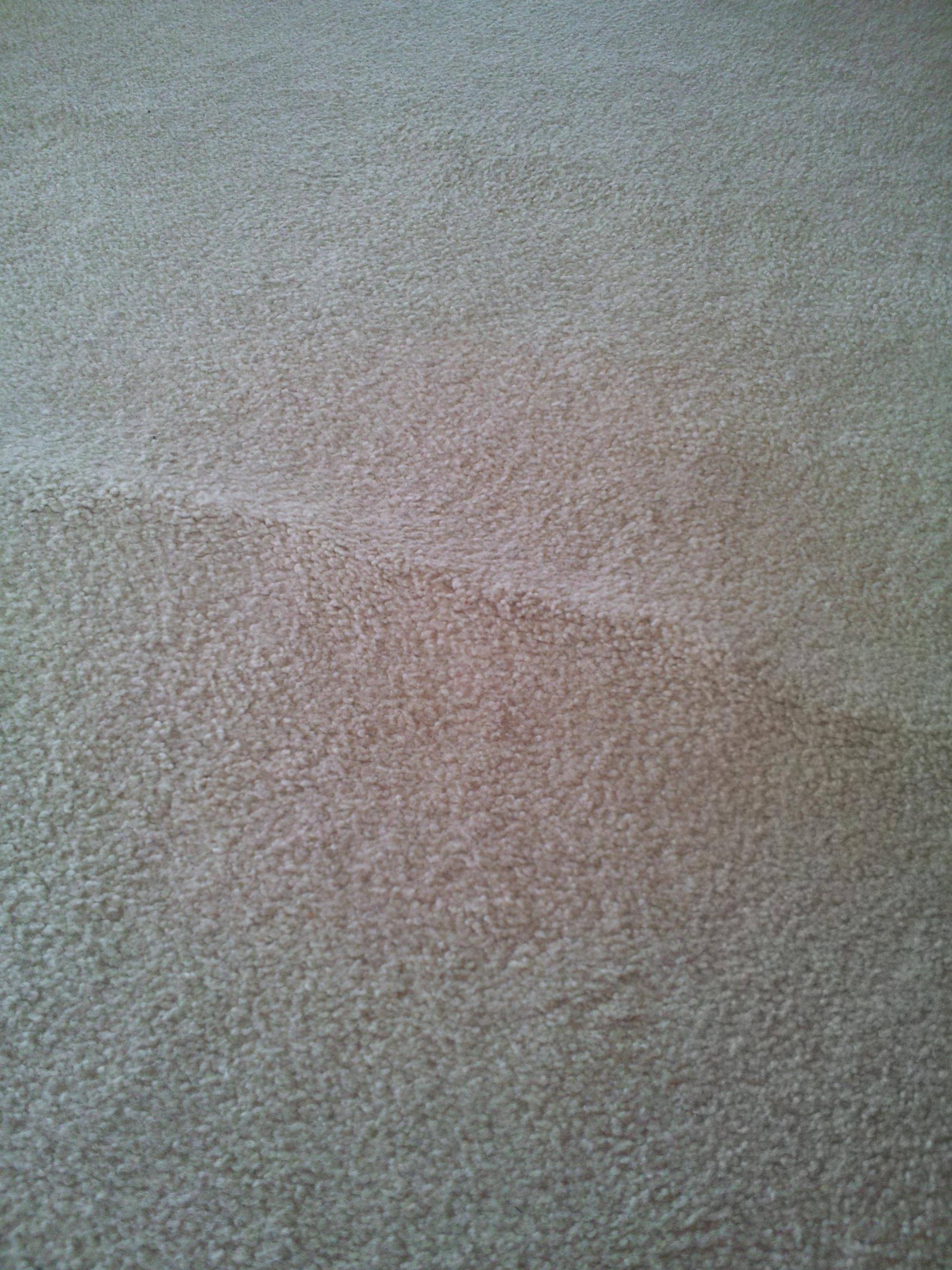 How to fix a bump in the carpet? Home Improvement Stack Exchange