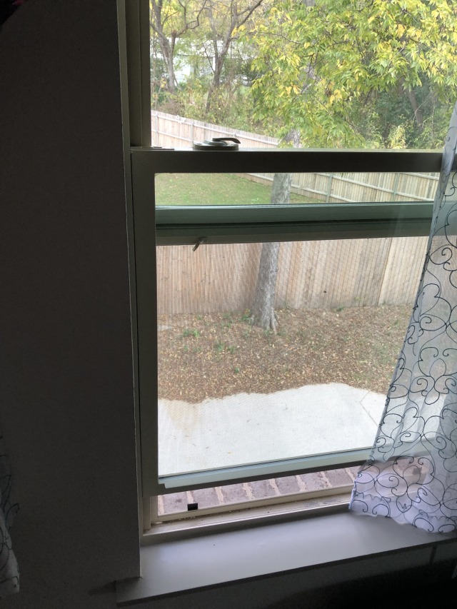 removal How to remove window screens? Home Improvement Stack Exchange