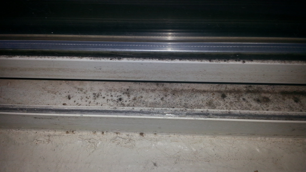 sealing Need to know if this is mold or not Home Improvement Stack