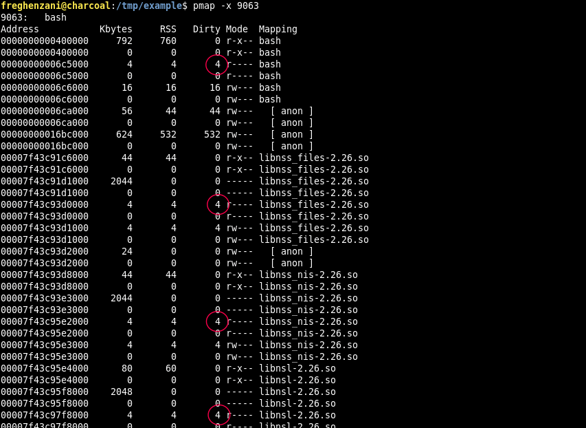 linux Why readonly memory mapped regions have dirty pages? Unix