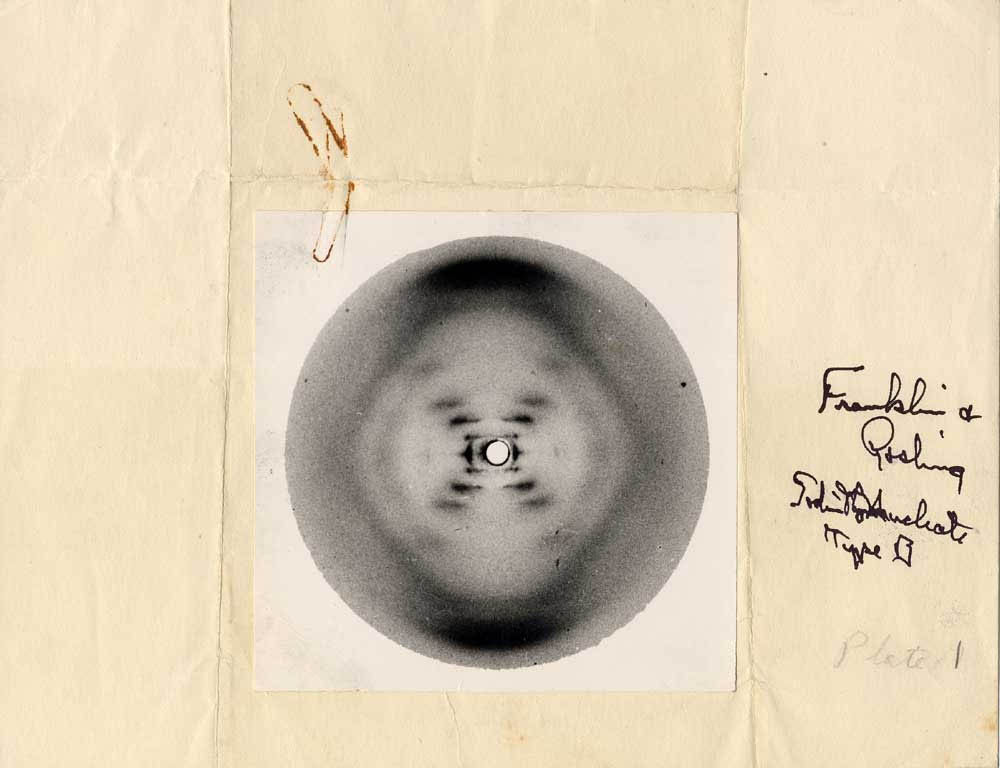 history What am I looking at in Franklin's Photo 51 of DNA? Biology