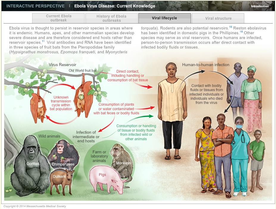 virus Ebola cleaning of protective suit Biology Stack Exchange