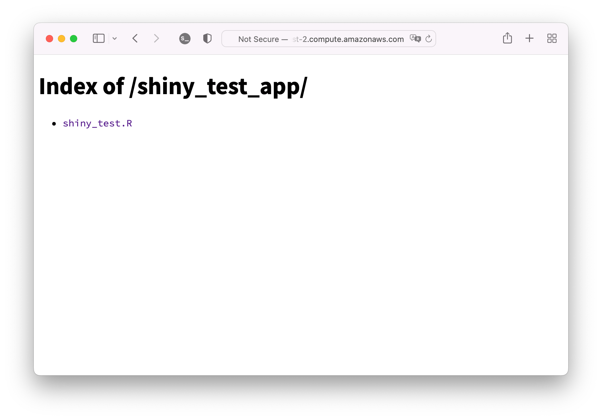 r The difference between the structures of shiny apps for local and