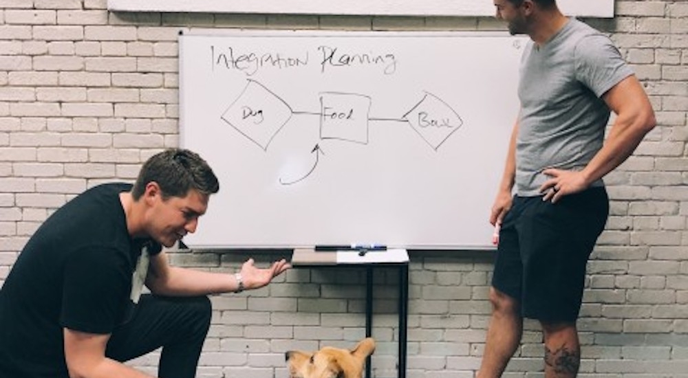 Jelli Jobs & Careers Stack Overflow