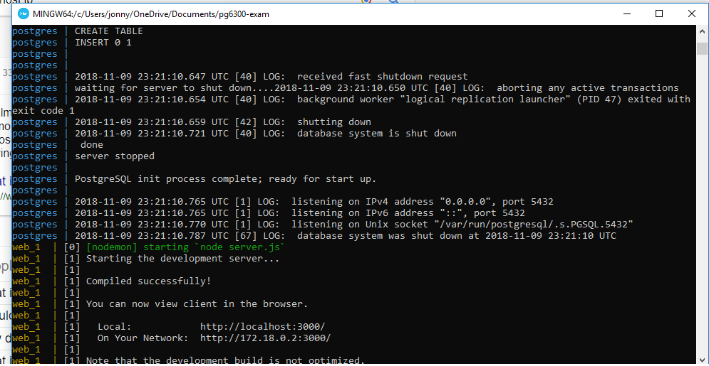 node.js How do you connect to the postgres from a node server while