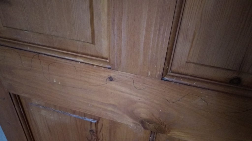 varnishing How to cover these scratches on my door? Home