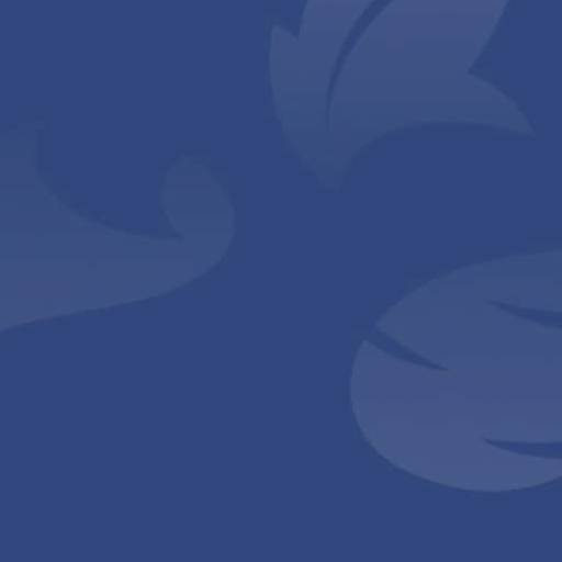 vue.js Quasar Icon Genie CLI crops icons from square to rectangle