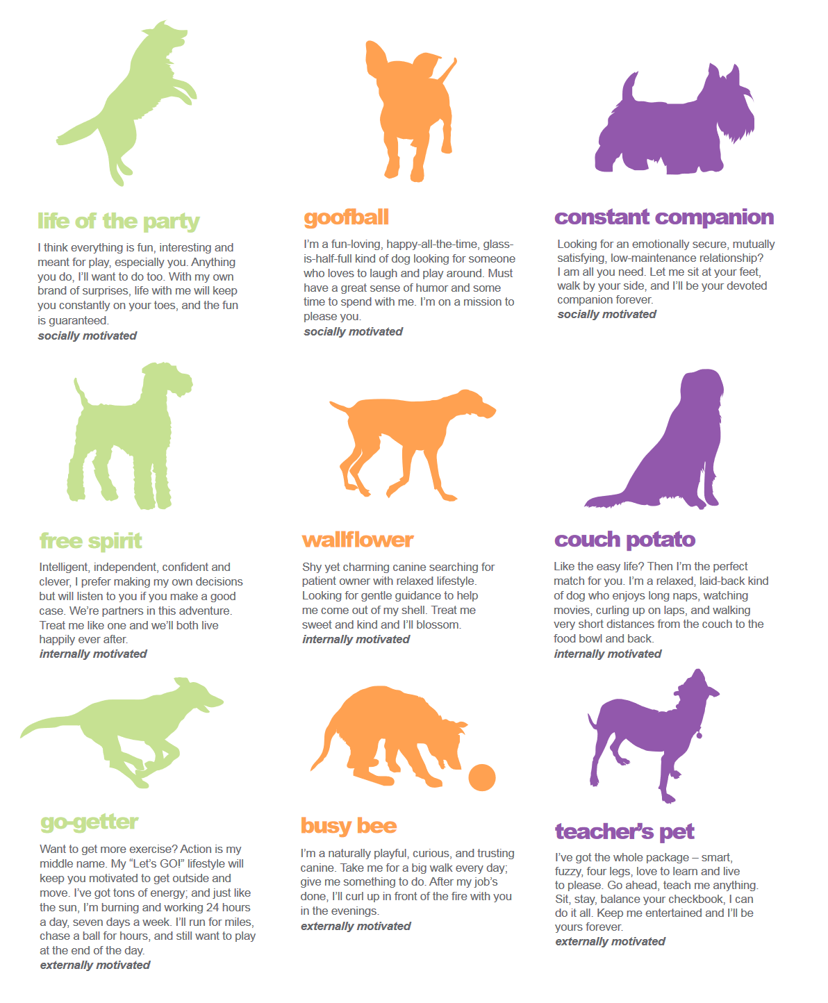 adoption What factors are most important to adopters of rescue dogs