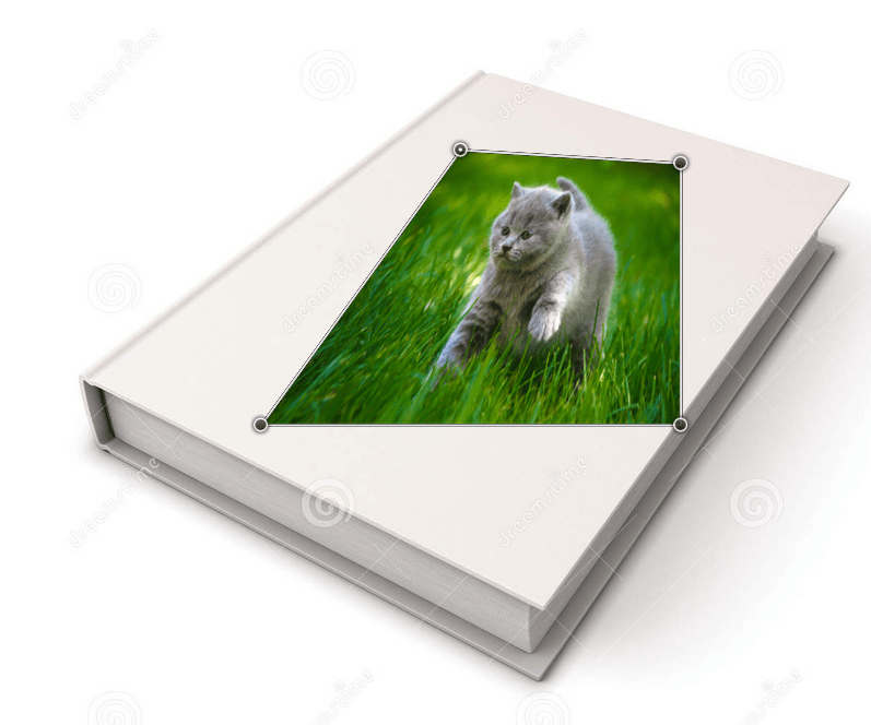 adobe How to perspective project or warp an image onto a