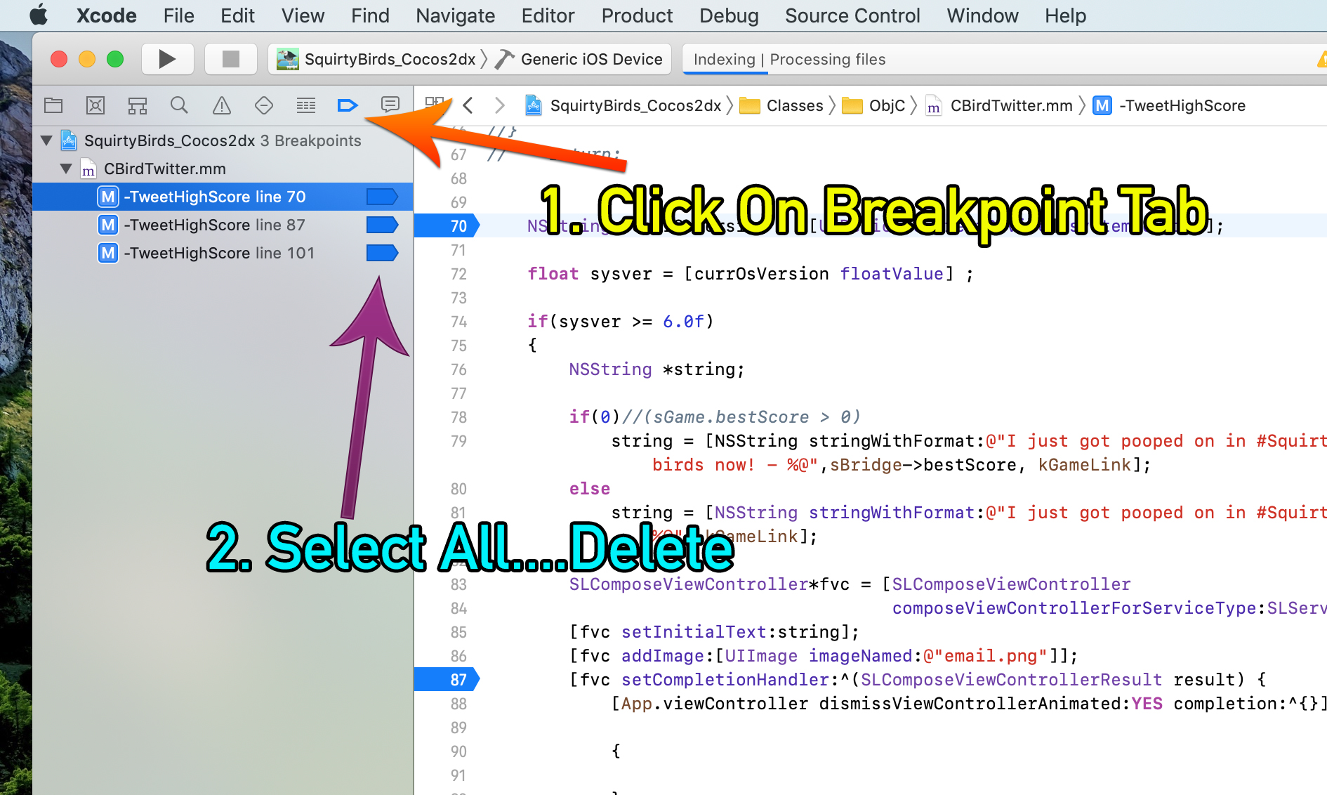 Xcode + remove all breakpoints Stack Overflow