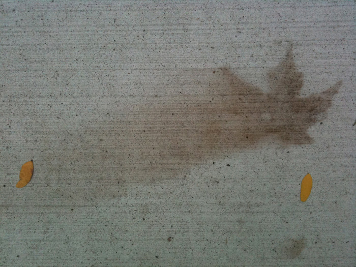 everyday chemistry What chemical process occurs when dead leaves make