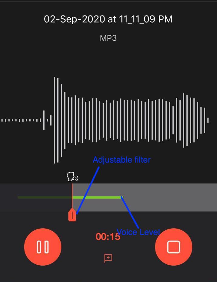 Hemant Vishwakarma: How to record audio with a certain threshold filter