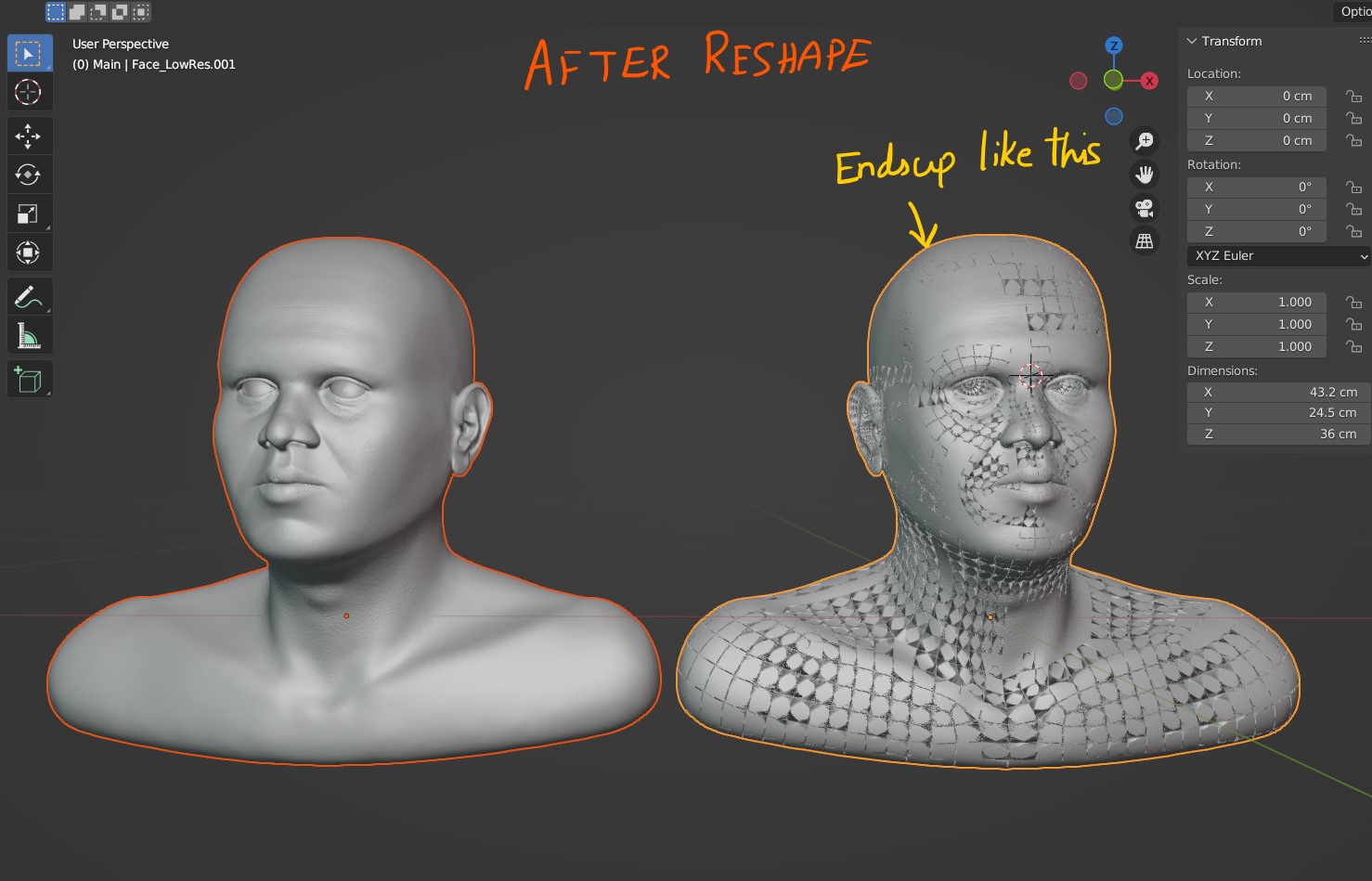 multiresolution Problem with Reshape in multires modifier Blender