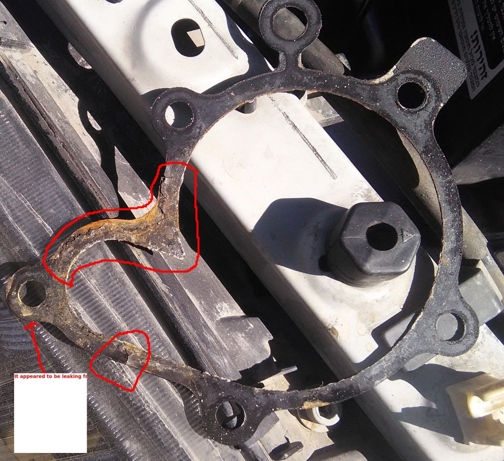 not to mention Human Nutrition do metal water pump gaskets need sealant