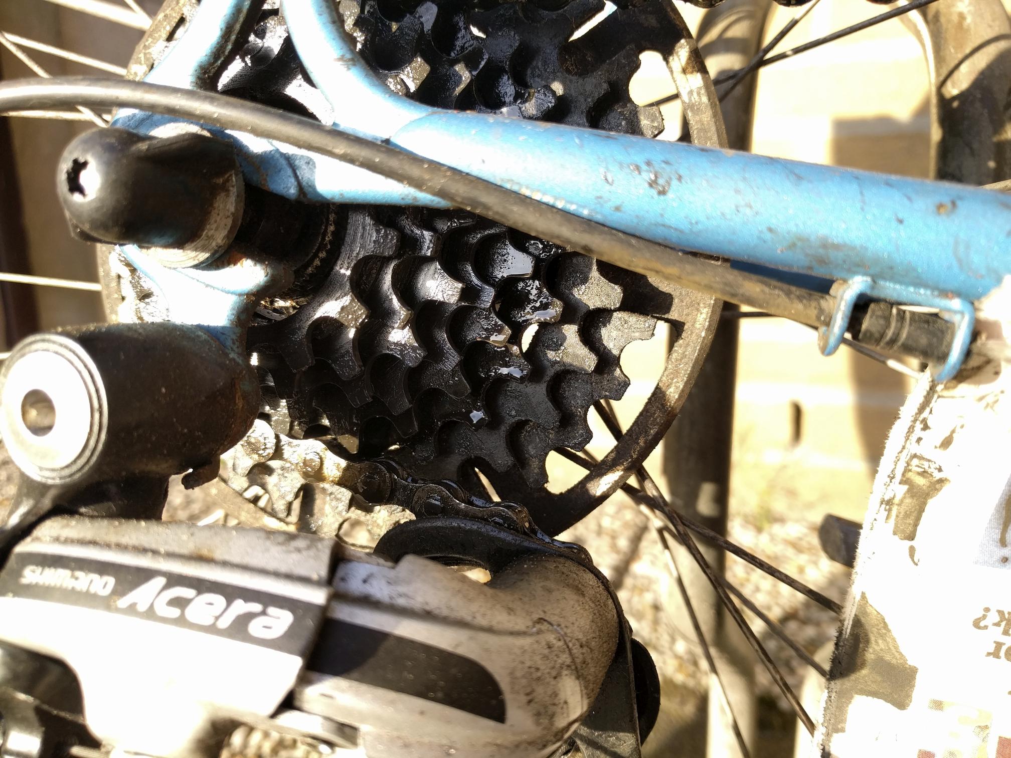 maintenance Should I replace these cassette and chainring? Bicycles