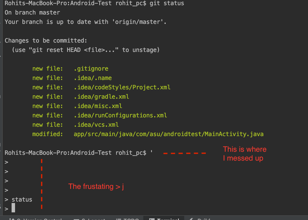 command line How to exit a 'git status' list in a terminal? Stack