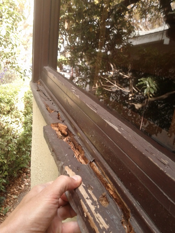 exterior Replacing a sill, on a factory built Marvin window? Home