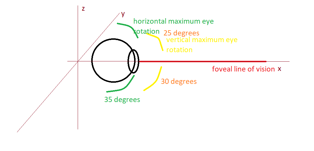 muscles What are the max angles of human eyeball rotation? Biology